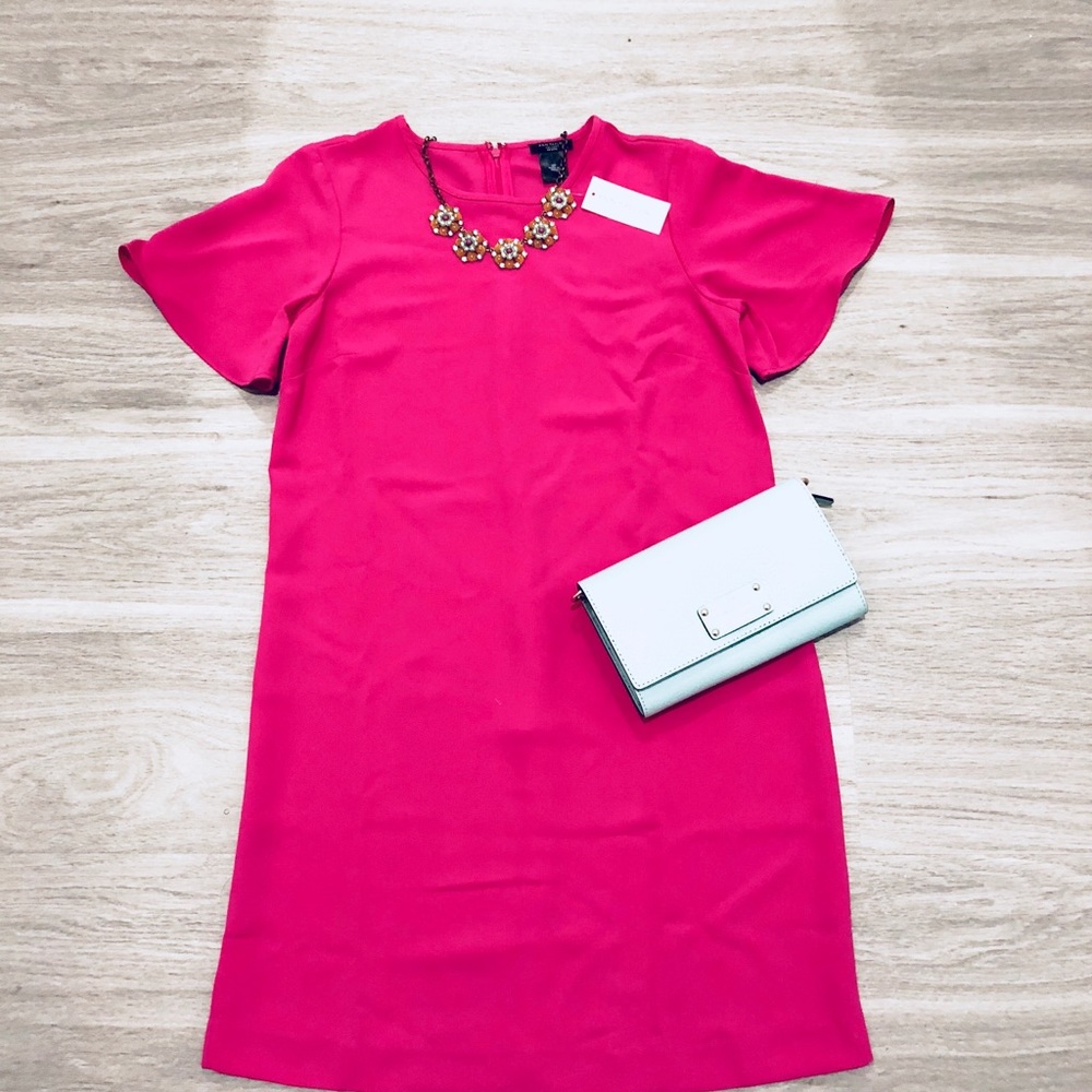 *NEW* Ann Taylor HOT Pink Shift Dress, 2P